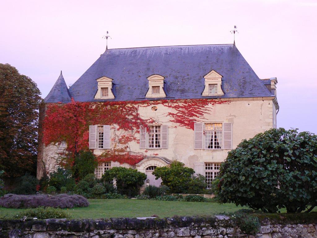 Gite Chateau De Chaintres Dampierre-sur-Loire 客房 照片